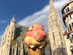 -斯蒂芬主教座堂(Stephansdom)