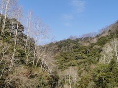 -仙寓山景区