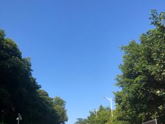 -火炉山森林公园