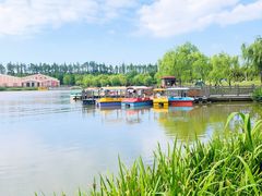 -上海长兴岛郊野公园