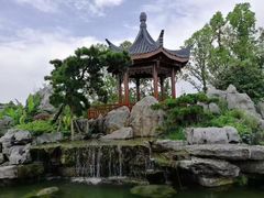 -东莞植物园