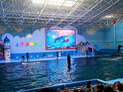 -蓬莱欧乐堡海洋极地世界