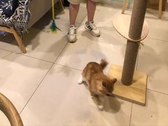 -平行世界·猫咖(首经贸店)