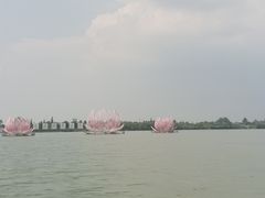 -溱湖国家湿地公园