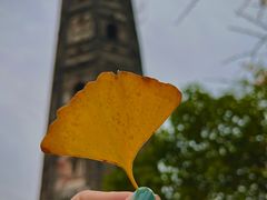 -上海佘山国家森林公园天马山园