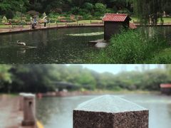 -徐家汇公园