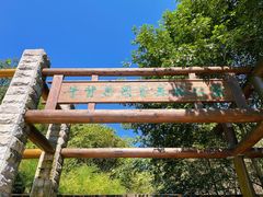 -牛背梁国家森林公园
