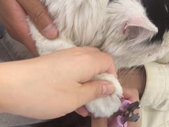 -美联众合动物医院·24h京西诊疗中心
