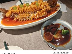 -玉玲珑(陆家嘴店)