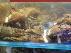 -四海蒸鲜蒸汽海鲜自助(北戴河店)