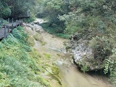 -秦巴石锅鱼(文化南路店)