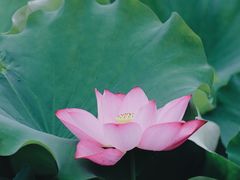 -光明港公园