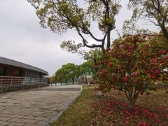 -白塘生态植物园