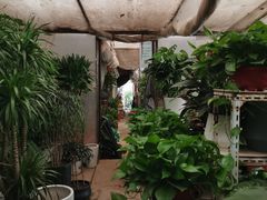 -金陵花卉交易市场