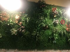 -味之绝热血美蛙鱼火锅(中坝店)