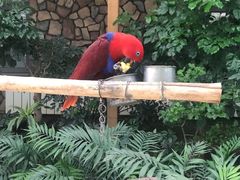 -南宫五洲植物乐园