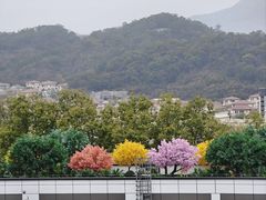 -福道
