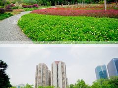 -文华公园(禅城区)