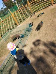 -萌宠亲子动物乐园(槐房万达店)