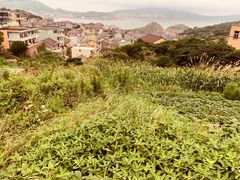 -枸杞岛