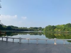 -塘沽森林公园