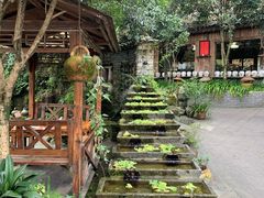 -青城甲(青城山店)