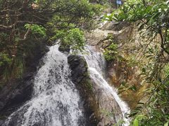 -梧桐山风景名胜区