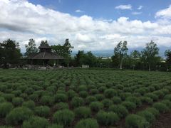 -富田农场