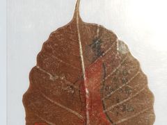 程十发·菩提叶上人物画-程十发艺术馆