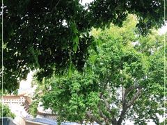 -广州中山纪念堂