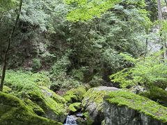 -牛背梁国家森林公园