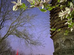 -玲珑塔公园