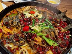 -老板恋上鱼(恒隆广场店)