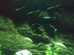 -苏州海洋馆