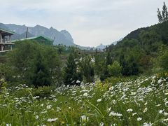 -太行锡崖沟旅游度假区