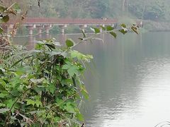-重庆彩云湖湿地公园