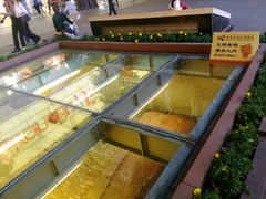 -北京路步行街-千年古道遗址