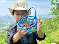-大罗山风景区
