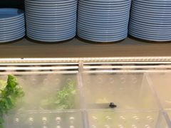-火炉火自助餐(枫蓝国际店)