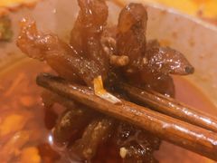 菊花牛鞭-刁姐火锅(五小区店)