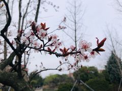 -奉浦四季生态园