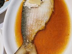 酒糟蒸鲥鱼-老人和饭店(淮海中路店)