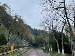 -狐尾山公园