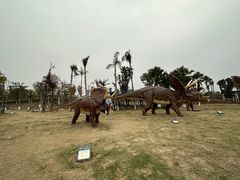 -自贡恐龙博物馆