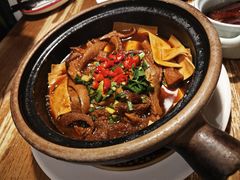 牛肚千张砂锅-新白鹿餐厅(龙游路店)