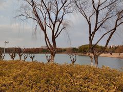 -长广溪湿地公园