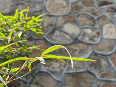 -大钟寺古钟博物馆