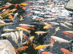 -龙达温泉生态城