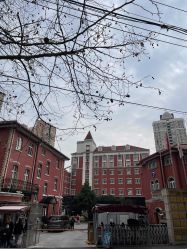 -复旦大学附属妇产科医院(黄浦院区)