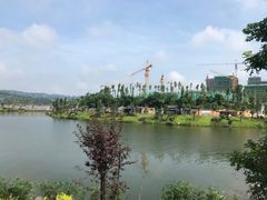 -枫香湖儿童公园